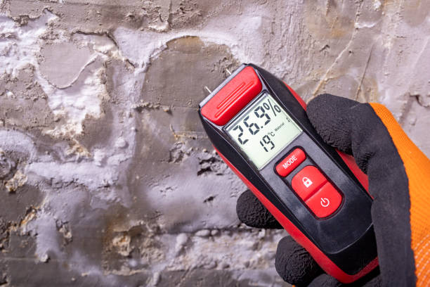 Best Mold Damage Repair  in Glens Falls North, NY