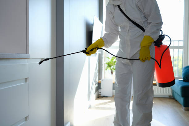 Best Certified Mold Removal  in Glens Falls North, NY